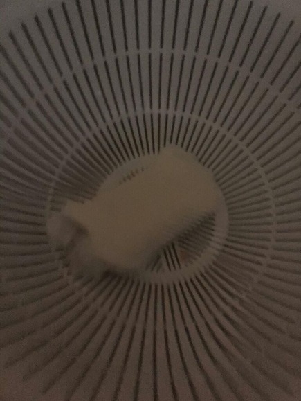 98