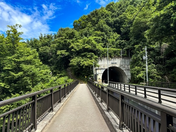 コンクリートの上で干からびながらも生きてるミミズを木陰に移動させたんだが