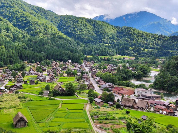 79
