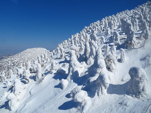 八甲田の樹氷（日本三大樹氷）