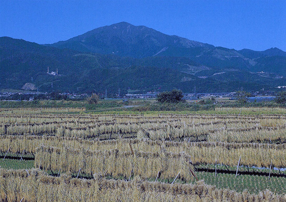 大山