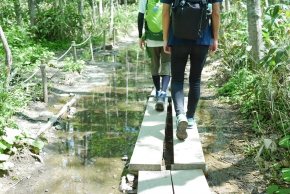 安いとついつい買っちゃうけど、結局ちゃんとしたアウトドアメーカーのもの買い直しちゃうよね