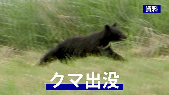 【秋田】捜索中に警察官2人がクマに襲われけが