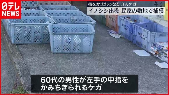 【香川】イノシシが出没…指をかまれるなど男女3人がケガ