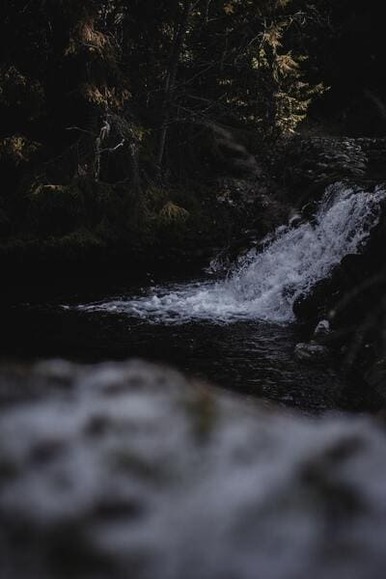 krasimira-nvs0aZNfx8U-unsplash (1)