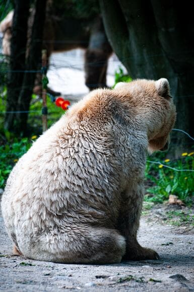 andy-luo - QwMYSIcrKo-unsplash