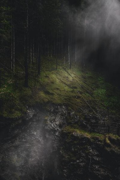 eberhard-grossgasteiger-RjW4i4RkpIU-unsplash (1)