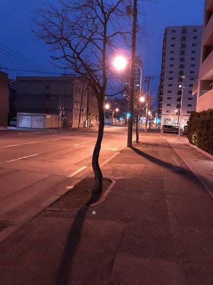 【画像】生きてる実感得る為にこれから散歩しよかな????