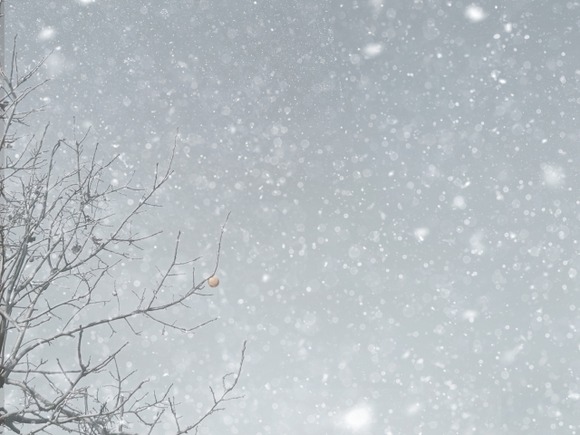 【ヤバい】明日の大雪、予想以上ｗｗｗｗｗｗｗｗｗｗｗｗｗｗｗｗｗｗ