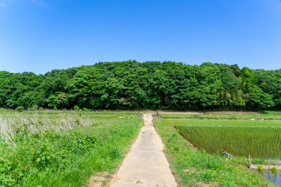 田舎