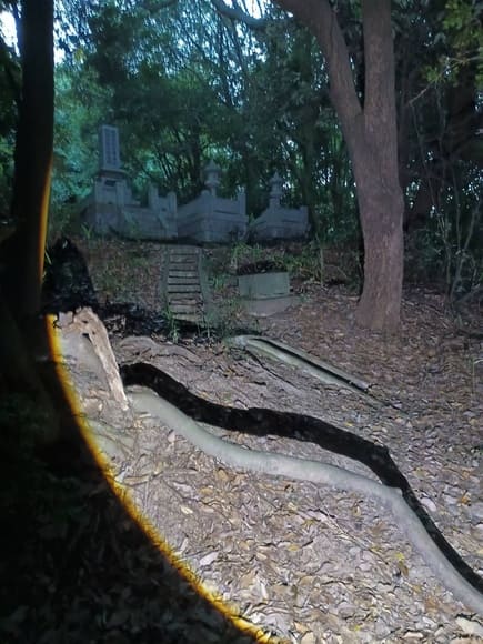 暇やから近くの山に探検するぜ