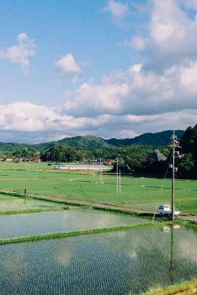 田んぼ風景