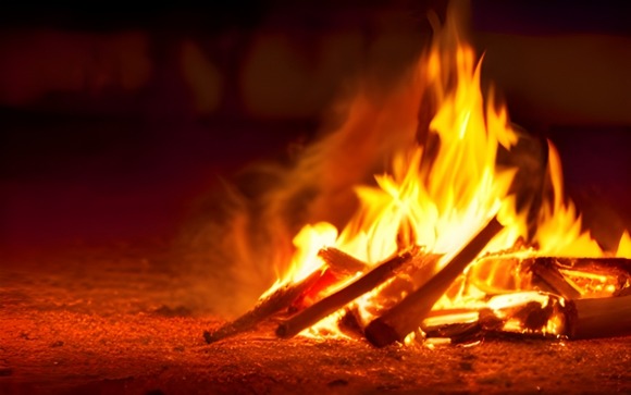 無人島に墜落した集団にいたらありがたい職業10強