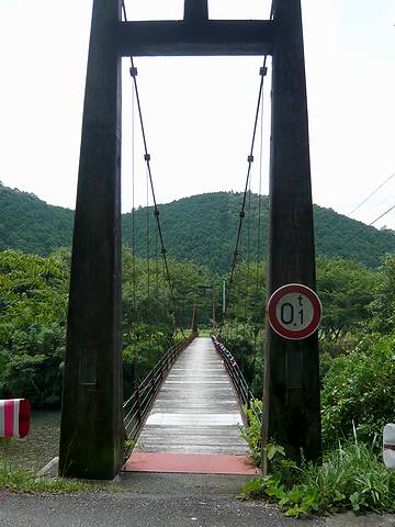 233_tsukushi1
