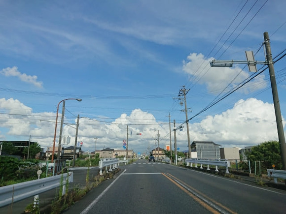 22646572_s (1)