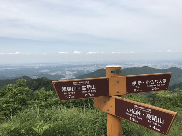 【八王子】日本中を震えあがらせているツキノワグマ…小仏バス停や景信山、上恩方町や裏高尾町でも目撃情報