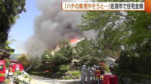 【新潟】「うわ、ハチの巣ができてる！燃やせ燃やせ！」→ 住宅・蔵・車庫・納屋が全焼
