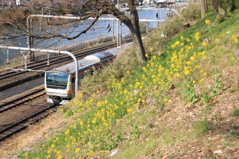 db999a602ac511e746063a2154191fc2_m