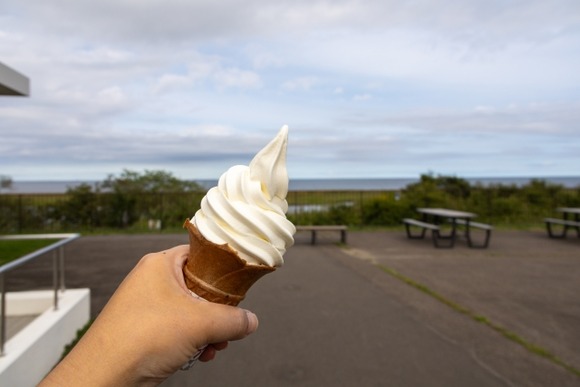 【謎】道の駅・サービスエリアでソフトクリーム食べるおじさん勢力