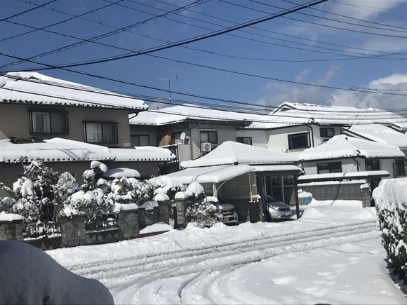 雪降る地域に住んでる奴って人生損してね？