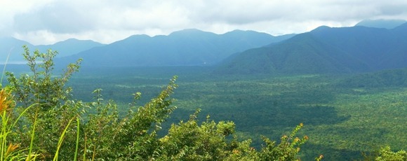 【野営】俺は樹海がホーム。ただ時々変な見回りのおっさんに声かけられて迷惑