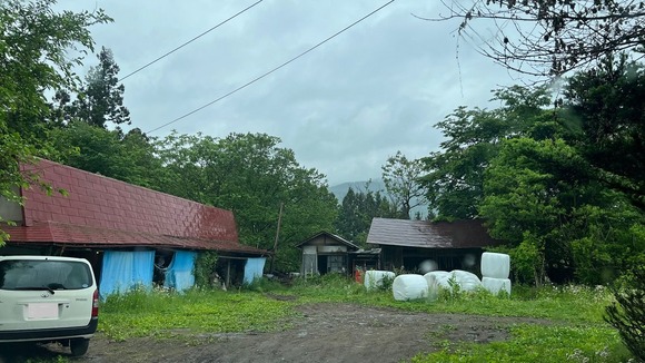 男性（60代） 「おーおー。クマが罠にかかっとる。ちっこい子グマじゃのう・・・・・・子グマだと？」