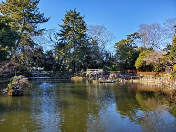 【謎】池の水全部抜く「カメ出ます！コイ出ます！昔の瓦出ます！」←廃れた理由