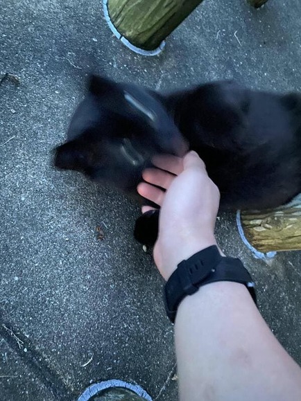 553