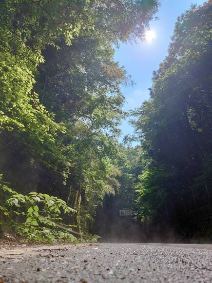 【画像】原付ツーリングしてくる（明神山方面へ）