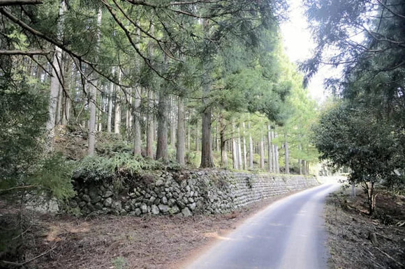 「犬が狩猟の獲物と勘違いした…」猟犬４匹、散歩中の女性を襲い頭の骨が見えるほどの重傷負わせる