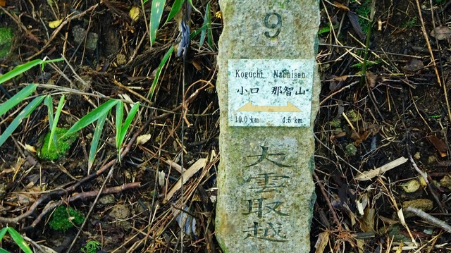 67