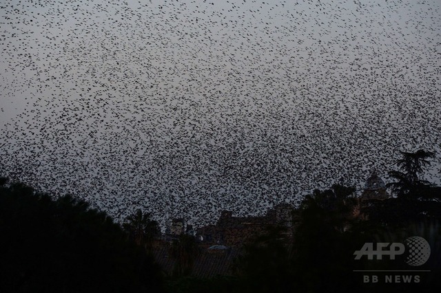 img_521faa779e1fb23e66704366e8ad8da6289378