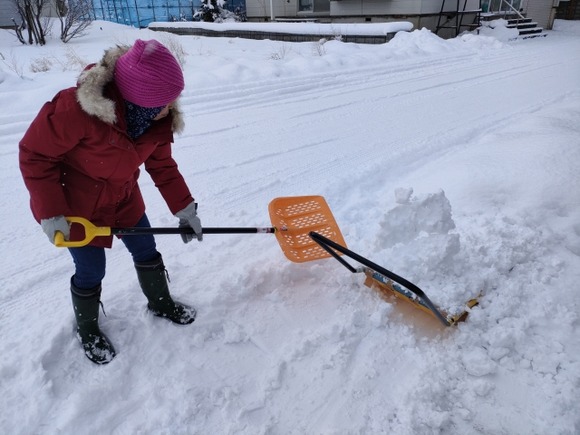 田舎だと同調圧力が強いから、一人雪かきしだすと近隣住民全員でしなくちゃいけない