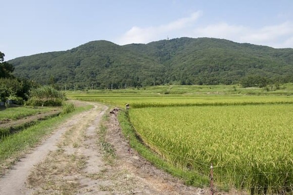 【画像】宝篋山に登ったｗｗｗｗｗｗｗｗｗｗｗｗｗｗ