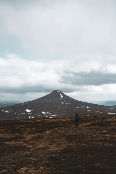 ポイズンリムーバーがキャンドゥで買えた 全然吸わないな、、、