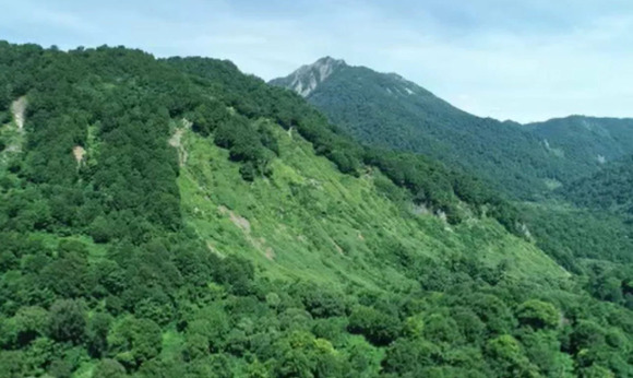 【雨飾山】一人で入山し、けがをして動けなかった男性(70)を救助