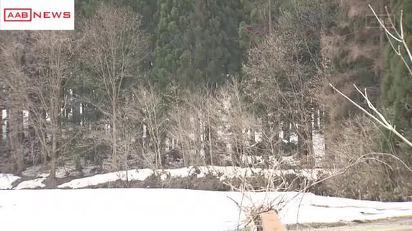 【悲報】林業、やはり危険すぎる。37歳男性が伐採中に木の下敷きになって死亡