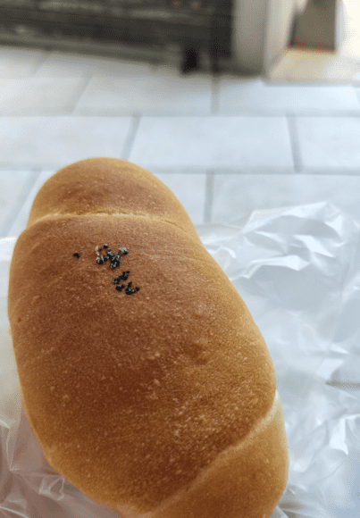 【画像】天草ら辺を旅行してきたよ