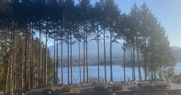 「富士山が見えないから切った」…中国資本のホテルが隣人宅のヒノキ23本を無断伐採した、「身勝手すぎる言い分」