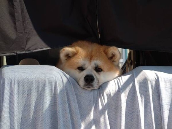 【画像】秋田県に観光にきた