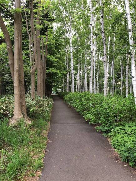 【画像】なんg深夜徘徊&早朝散歩部????