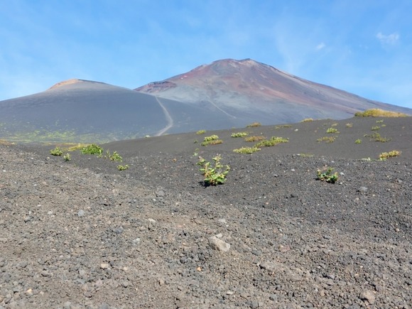 【静岡】富士登山で小学5年生の児童8人が一時行方不明に…学校側が会見し謝罪