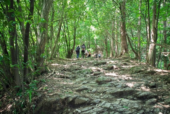 高尾山に100回くらい登ったんだけど