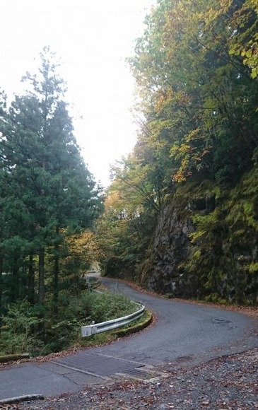 山道をバイクでツーリングする上で気を付けた方がいいこと教えてくれ