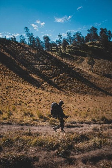 hiker