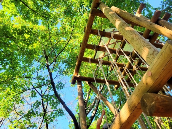 【岐阜】アスレチック中に男性(52)死亡…意識失った状態で発見