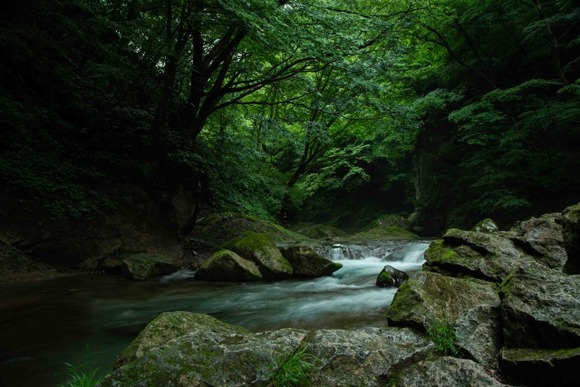 「沢水がきれいだ、飲むか」←マジでサワガニやモクズガニにいる寄生虫いるみたいよ