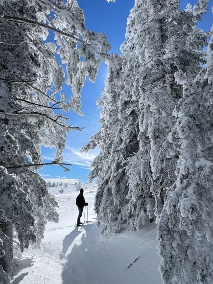 もうせかせか日帰りで登って下りるの疲れる