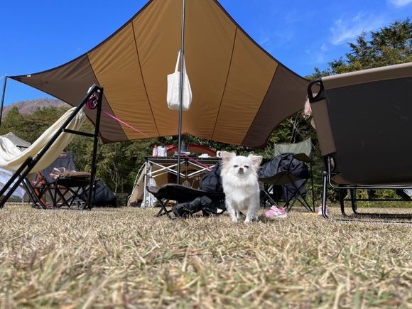 キャンプってコスパタイパ至上主義の中で流行ったのがむしろ奇跡的やない？