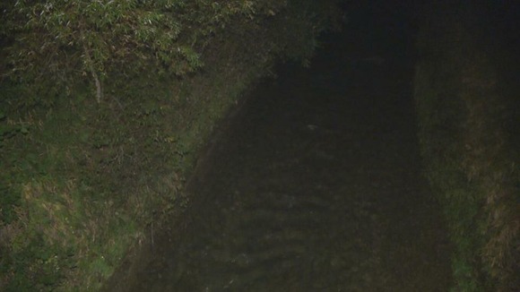 「母グマともみ合いになり自分だけ川に落ちた」川で釣りの帰り道にクマに襲われ重傷